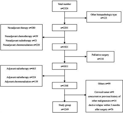Impact of adjuvant chemotherapy for radically resected esophageal squamous cell carcinoma: a propensity score matching analysis